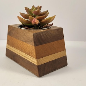 May include: A small wooden planter with a geometric design, made from different types of wood, with a succulent plant inside.