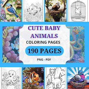 Cute Baby Animal Coloring Pages - Printable Kids Activity - Adorable Zoo Jungle Woodland Animals for Fun & Learning