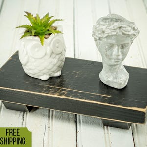 May include: A black, rectangular wooden riser with a distressed finish. It holds a white owl-shaped planter with a green succulent and a small gray bust. The riser is approximately 12 inches long and 6 inches wide.