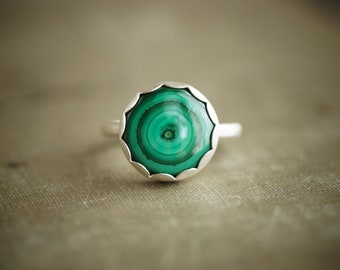 Malachite Ring - Sterling Silver - Size 8