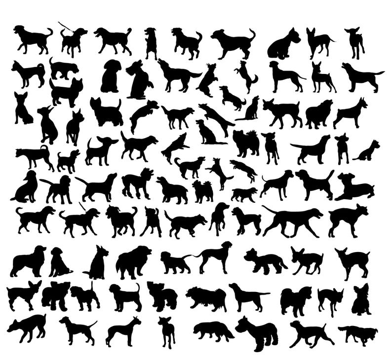 May include: A collection of black dog silhouettes in various poses. The dogs are depicted in different sizes and breeds, including standing, sitting, and running positions. The image is a simple, high-contrast design.
