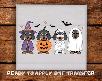 Halloween Dachshund DTF Transfer • Cute Dog Costume • Wiener Dog Pumpkin Ghost Mummy Ready To Press • Cute Spooky Heat Transfer • DTF Print