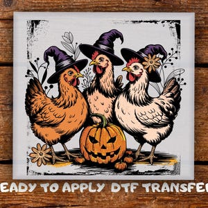 May include: A Halloween design with three chickens wearing witch hats, gathered around a carved pumpkin. The chickens are depicted in brown and white, with an orange pumpkin. The text "READY TO APPLY DTF TRANSFER" is at the bottom of the image.
