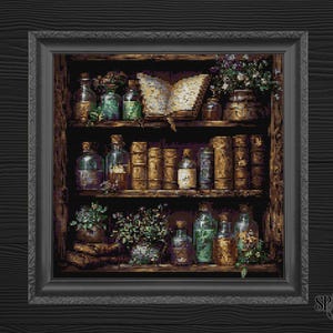 May include: A wooden shelf with a variety of glass bottles, books, and plants. The shelf is framed in a dark wood frame.