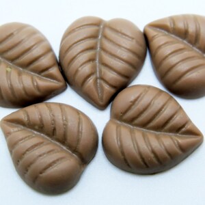 5PCS - Resin Leaf Cabochons - Brown Leaf Cabs - 15x13mm - Flat Back Cabochons - DIY Crafts, Scrapbooking and Jewelry Supplies