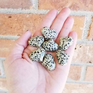 Dalmatian Jasper Heart Stones, Worry Stones, Pocket Stones, Heart Worry Stones, Jasper Heart Stone, 1 pc Heart Stone, Zardenia
