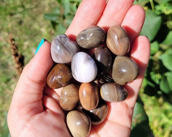 Petrified Wood Jasper Hearts, Mini Hearts, Pocket Hearts, Crystal Hearts