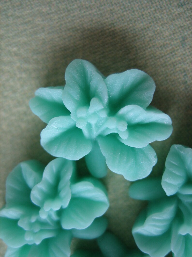 mint and lily cancel order mint and lily cancel order