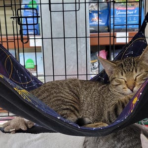 May include: A black fabric pet hammock with a celestial pattern of gold stars and constellations, suspended by four straps from the metal wire frame of a pet crate, featuring a brown tabby cat sleeping inside the hammock.
