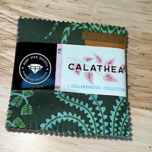 May include: A bundle of 42 fabric squares from the Calathea Collaborative Collection, each measuring 2.5 inches. The fabric features a green and blue plant pattern. The label reads "Ruby Star Society" and "Guaranteed Delightful."