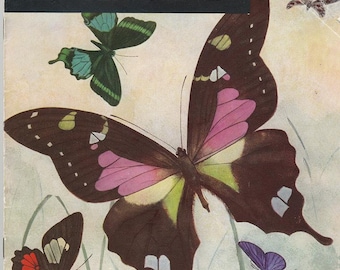 Vintage 1951 Butterflies in Crochet Pattern Book Accessories Butterfly Needlecraft Decor More