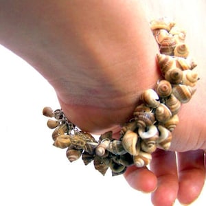 Sterling silver shell bracelet Nutmeg seashells. wire wrapped seashell bracelet tan. beachy jewelry.nautical bracelet sterling silver image 1