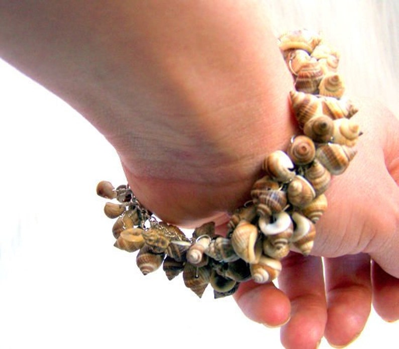 Sterling silver shell bracelet Nutmeg seashells. wire wrapped seashell bracelet tan. beachy jewelry.nautical bracelet sterling silver image 1