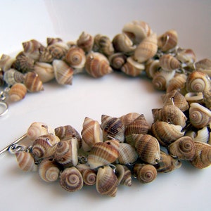 Sterling silver shell bracelet Nutmeg seashells. wire wrapped seashell bracelet tan. beachy jewelry.nautical bracelet sterling silver image 2