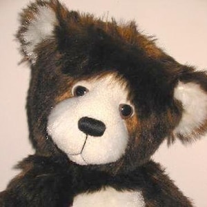 May include: Close-up of a brown and white teddy bear with black eyes and a black nose. The bear has a fluffy, soft texture.