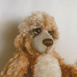 May include: A brown and white teddy bear with a fluffy coat and a sad expression. The bear has black eyes and a brown nose.