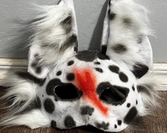 Spotted cat with scar on face black, white, and red