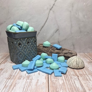 Beach Linen Soy Wax Melts, Hand Poured Shell Shape, Flame Free Fragrance