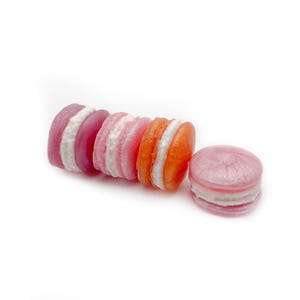 Teddy&#39;s Mini Macaroon 4 Pack