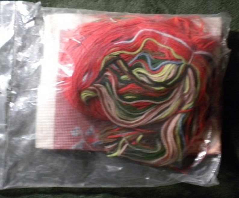 1970s American Family Crafts Animal Pageantry Medieval Lion Celtic 10ct Crewel Yarn Needlepoint Picture Craft Kit NewOld in Pkg