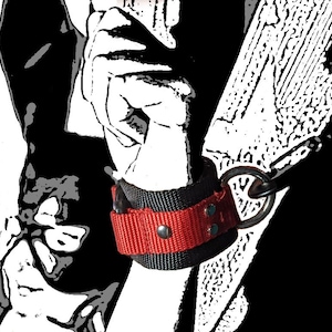 May include: A black and red wrist restraint with a metal ring. The restraint is made of nylon webbing and has a red stripe.