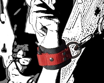 May include: A black and red wrist restraint with a metal ring. The restraint is made of nylon webbing and has a red stripe.