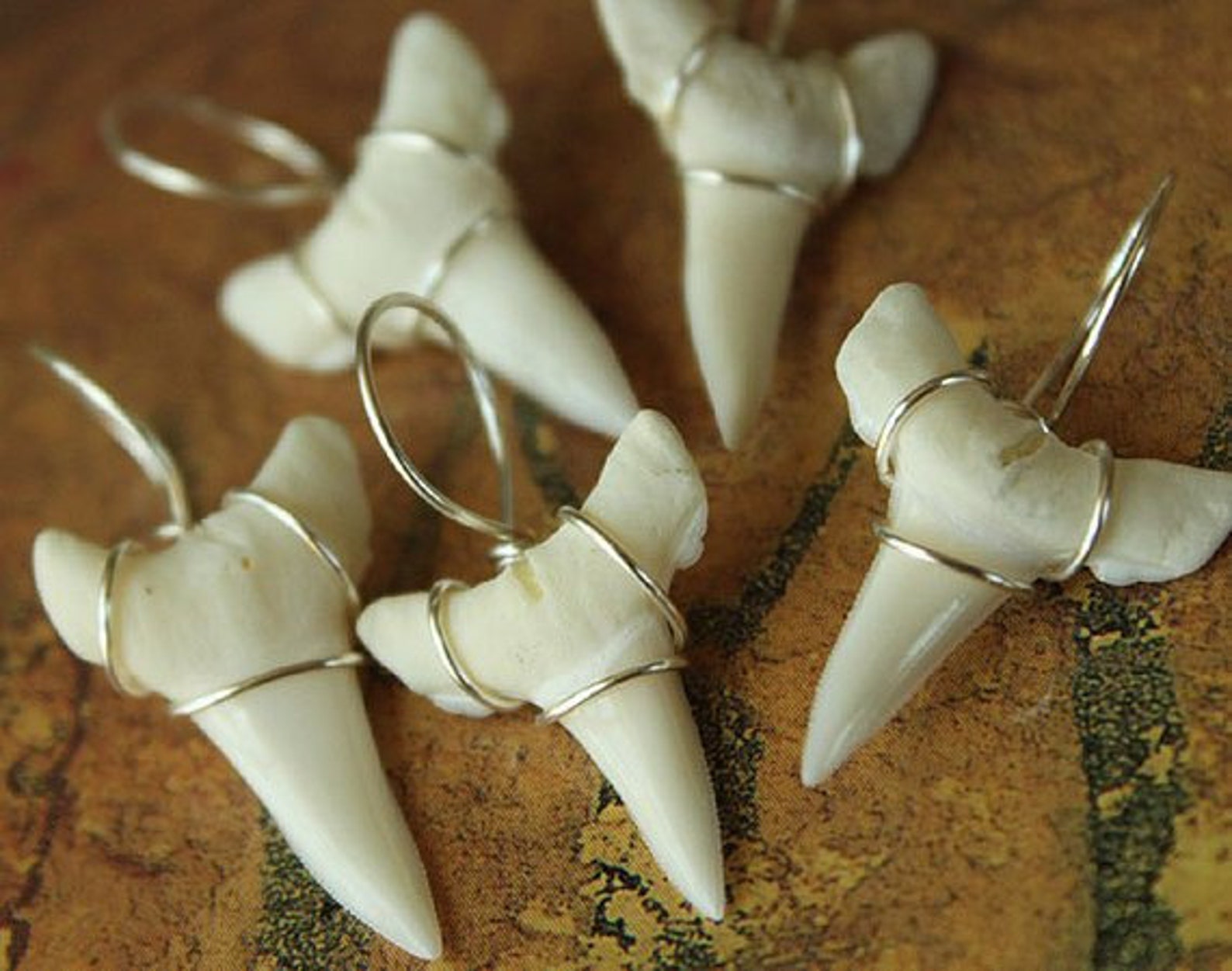BUNDLE of 25 3/4 Wire Wrapped White SHARK Teeth to Etsy