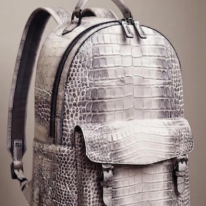 May include: A backpack featuring a textured, light grey and white crocodile skin pattern. The bag includes a top handle, adjustable shoulder straps, a main zippered compartment, and a front pocket with a flap secured by two metal buckles.