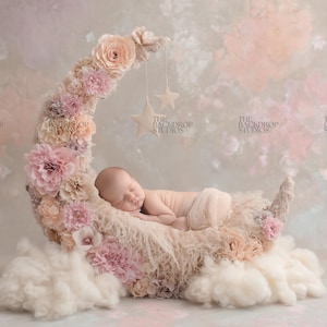 Himmelsk babyfotograferingsbakgrund blommig månetema nyfödd blommig babybakgrund nyfödd digital bakgrund för nyföddfotografering