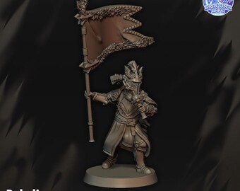 Paladin / June 2026 / Dragons Lake Miniaturas