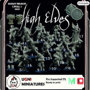 High Elves / UGNI miniatures