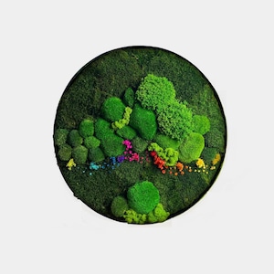 Moss Wall Art, Moss Wall Decoration in a Metal Frame, Olive Wood and Moss Wall Art - Preserved Stabilized Moss Wall Decoration Gift for