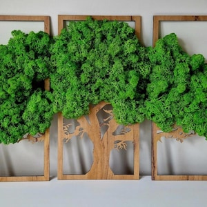 Preserved Moss art Tree of Life Wall Moss Decor Large Wall Art Image of moss, Natural moss, mix colours, Reindeermoos Gift for 40x60 60x90