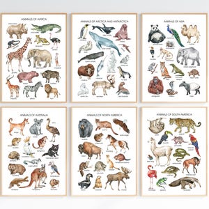Montessori Animal Classification Set - 6 Educational Posters for Nursery Decor, 6 Montessori Animal Posters - Wildlife Educational Set