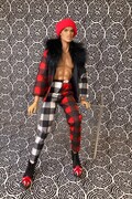 Handmade outfit for Fashion Royalty Homme Dolls and other similar size dolls.