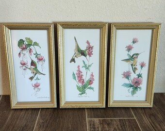Vintage Caroline Shores Wright Framed Hummingbird Prints 3