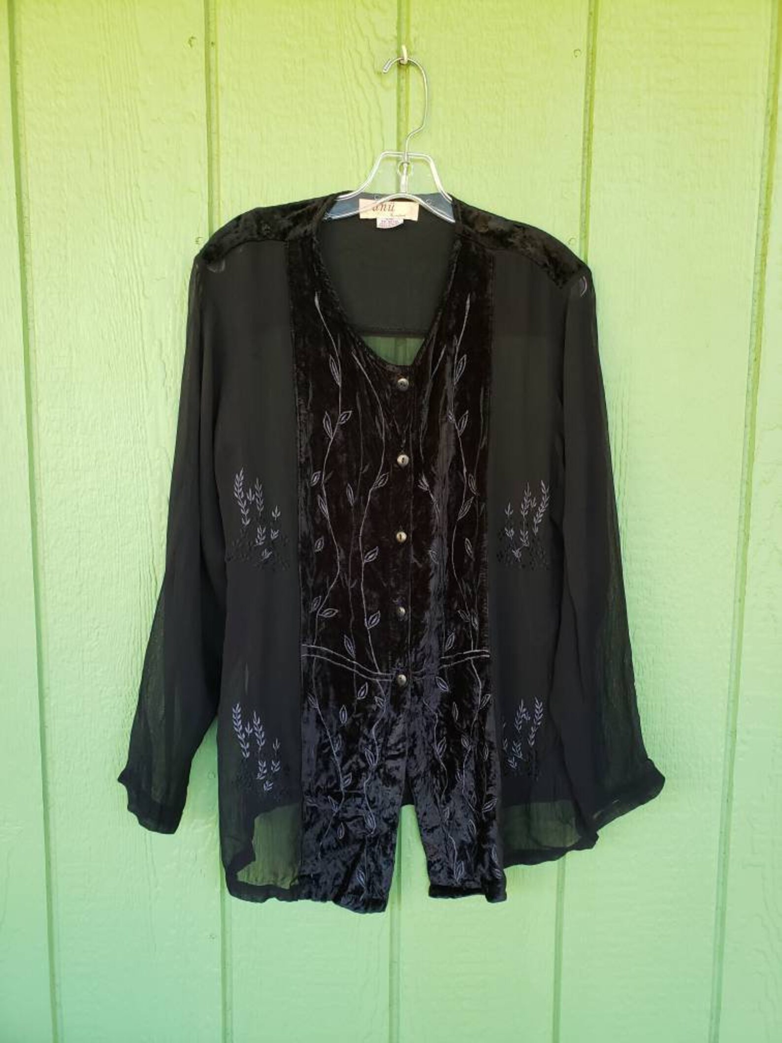 Vintage Sheer and Velvet Tunic Blouse by Anii for Natural | Etsy