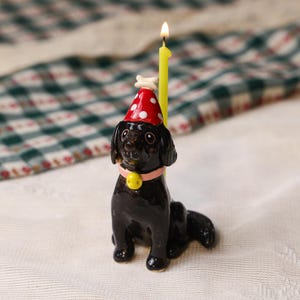 Puede incluir: Figura de perro negro con gorro de fiesta rojo con lunares blancos y collar rosa con un dije amarillo. Una vela amarilla con una tapa en forma de hueso está encendida, creando un tema de cumpleaños.