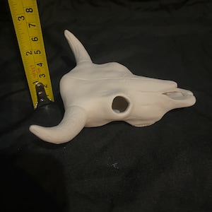 May include: White ceramic bull skull with horns, a side view of the skull. The skull is approximately 5 inches long.