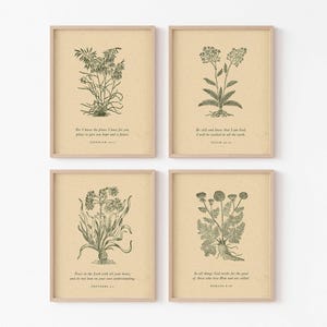 May include: Set of four framed botanical prints. Each print features a detailed black and white illustration of a plant with its roots, stems, and flowers. Each print has a different Bible verse printed below the botanical illustration.