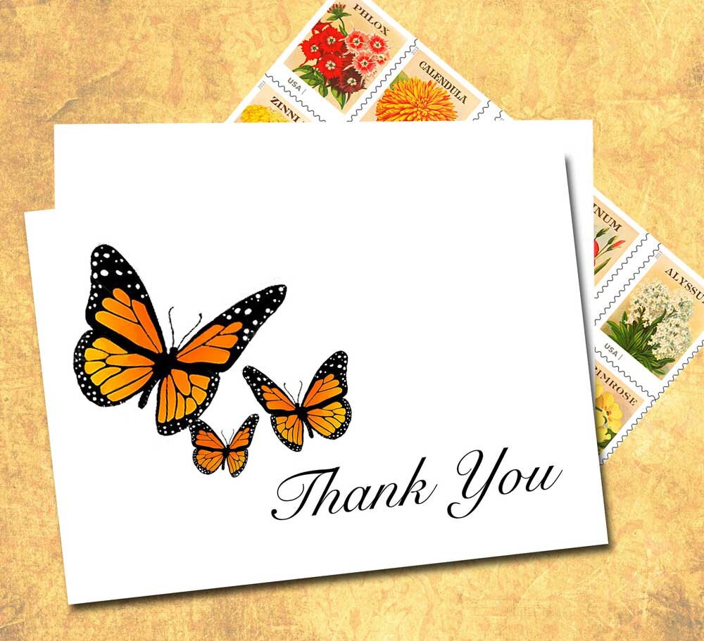 Butterfly Thank You Note Cards Monarch Butterfly Fall Etsy