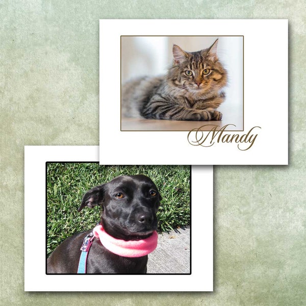 Pet Stationery, Custom Made With Your Photo, Personalized Pet Cards, Cat, Dog, Horse Note Cards, Made To Order, Kitty Doggie Puppy Pony