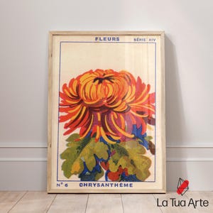 Puede incluir: Una impresi&oacute;n bot&aacute;nica vintage enmarcada con una vibrante flor de crisantemo naranja y roja. La impresi&oacute;n incluye las palabras francesas "FLEURS" y "CHRYSANTH&Egrave;ME" en texto azul, con el n&uacute;mero "6" y "S&Eacute;RIE XIV". La obra de arte est&aacute; sobre un fondo crema.