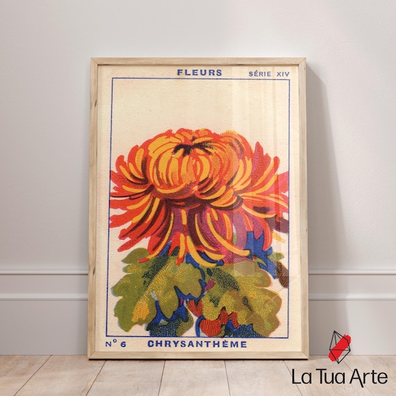 Vintage Chrysanthemum Flower Poster, Retro Botanical Wall Art
