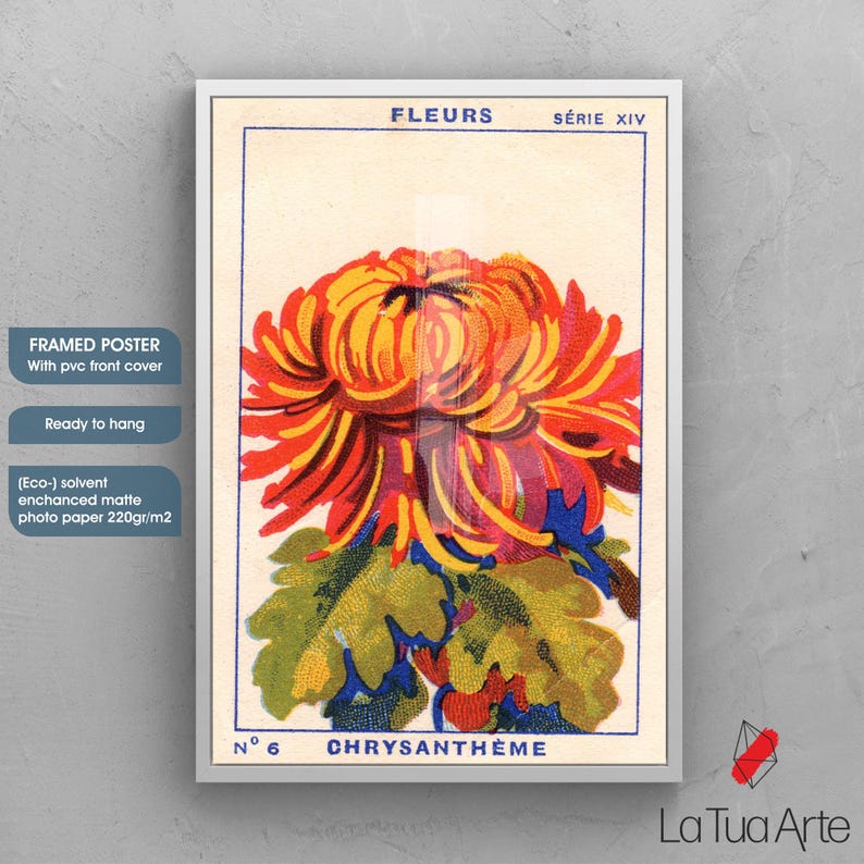 Puede incluir: P&oacute;ster enmarcado con una ilustraci&oacute;n floral vintage de un crisantemo. La obra de arte muestra una flor grande de m&uacute;ltiples p&eacute;talos en tonos naranja, rojo y amarillo, con hojas verdes y azules. Incluye el texto "FLEURS" y "CHRYSANTHEME".