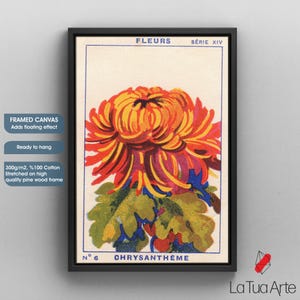 Puede incluir: Impresi&oacute;n art&iacute;stica en lienzo enmarcada con una ilustraci&oacute;n de crisantemo. La obra de arte muestra una flor grande y multicolor con p&eacute;talos rojos, naranjas y amarillos, hojas verdes y detalles azules. La impresi&oacute;n est&aacute; enmarcada en un marco de madera negro.