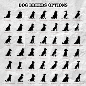 May include: A white poster displaying the text "DOG BREEDS OPTIONS". It features 42 black silhouettes of various dog breeds, each identified by a number and breed name, such as Afghan Hounds, Akitas, and Alaskan Malamutes.