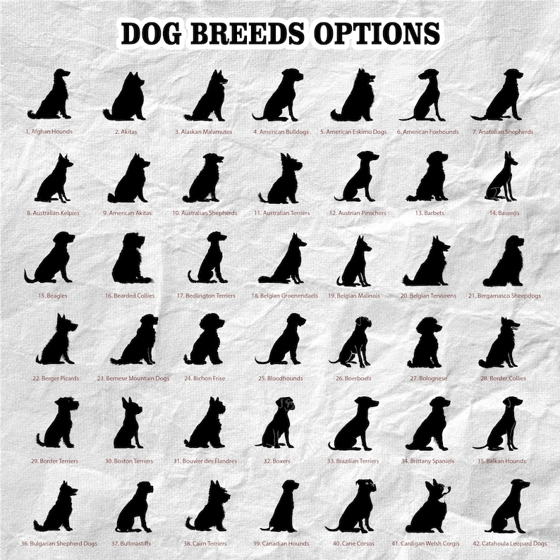 May include: A white poster displaying the text "DOG BREEDS OPTIONS". It features 42 black silhouettes of various dog breeds, each identified by a number and breed name, such as Afghan Hounds, Akitas, and Alaskan Malamutes.