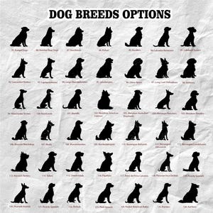 May include: A poster displaying black silhouettes of different dog breeds, including Labrador Retrievers, Pointers, and Miniature Poodles. The title "DOG BREEDS OPTIONS" is at the top. Each dog is identified with a number and breed name, such as "85. Kangal Dogs."
