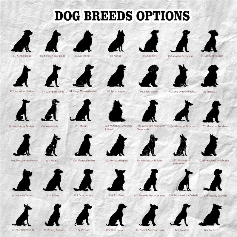 May include: A poster displaying black silhouettes of different dog breeds, including Labrador Retrievers, Pointers, and Miniature Poodles. The title "DOG BREEDS OPTIONS" is at the top. Each dog is identified with a number and breed name, such as "85. Kangal Dogs."